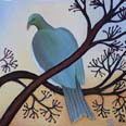 Kereru