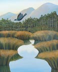 Wetland Tui, Westland