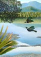 Afternoon Tui