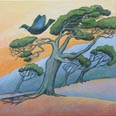 Uplift