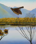 Dart River Falcon