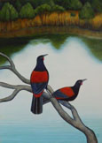 Saddlebacks