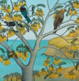 The Kowhai Grove