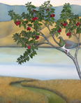 Out on a Limb