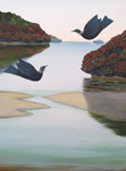 Pohutukawa Bay