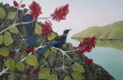 Tui in the Flame Tree II
