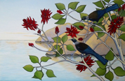 Tui in the Flame Tree III