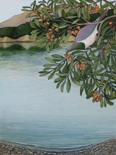 Pigeonwood