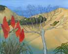 Kniphofia
