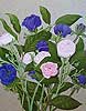 Ranunculus and Anemones