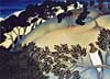 Kereru,The Hill Beyond