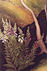 Wild Foxgloves