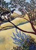 Woody in the Plum Tree