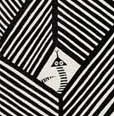 Scrutiniser (detail)