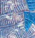 Blue Spirit Birds (detail)