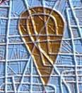 Avian Anima (detail)