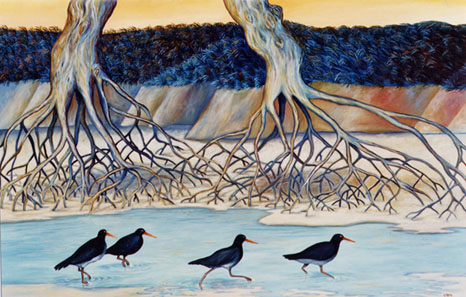 Oystercatchers